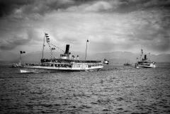 17634176434 3811e81ec0 O