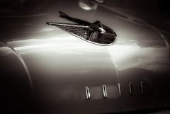 18958595366 5e37331a2e O