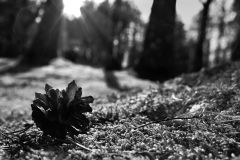 winter Is ending 16568274879 O