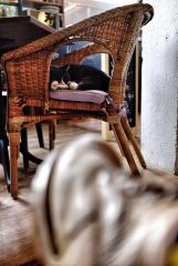 16655737346 082d1ffce6 O