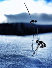 Photo 01.01.15 04 34 53