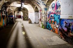 photo33323371805650399