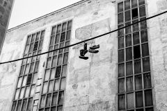 tumblr nsnx8toOYv1qeuzyoo1 1280