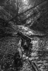 Shades State Park Indiana