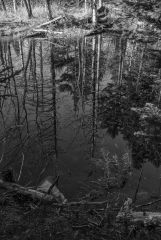 Near Arlington Vermont