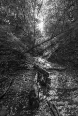 Shades State Park Indiana