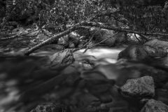 Roaring Branch Arlington Vermont 3