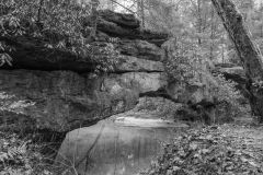 Natural Bridges Kentucky