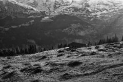 Train To Murren Switzerland