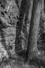 Natural Bridges Kentucky 9