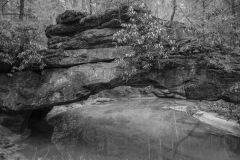 Natural Bridges Kentucky