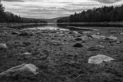 Near Arlington Vermont