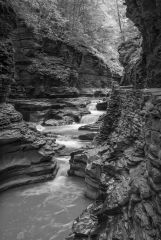 Watkins Glen New York