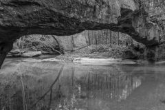 Natural Bridges Kentucky