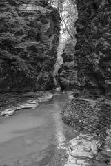 Watkins Glen New York