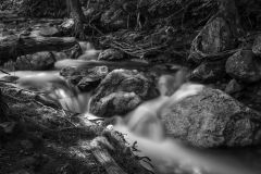 Roaring Branch Arlington Vermont