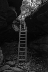 Shades State Park Indiana