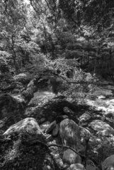 Roaring Branch Arlington Vermont 4