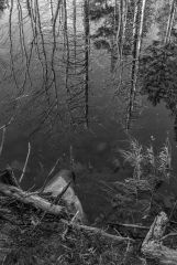 Near Arlington Vermont