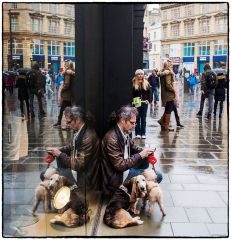 One Man And His dogs