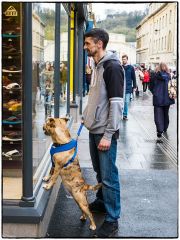 Looking For The boss