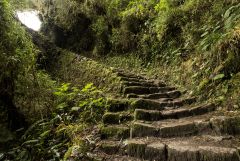 card1 Peru Machupichu 012 pshopped.jpg