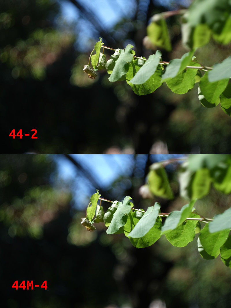 Helios 44-2 and 44M-4