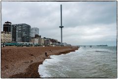 Brighton 14