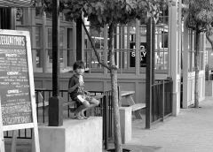 14444685 10208901844535197 4523248629938485366 O