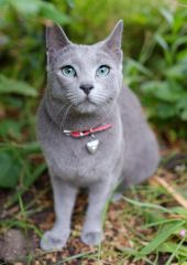 I like to be captured by a fujifilm camera