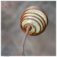 DSCF6182 CoolBokeh resize