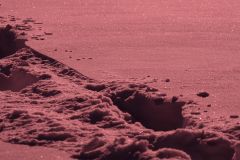 Pink snow. test