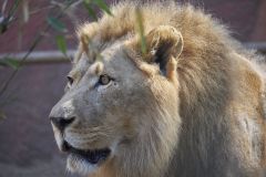 2016 11 06 X T2 DSCF6041