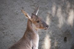 2016 11 06 X T2 DSCF5521