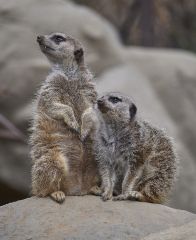 2016 11 06 X T2 DSCF6485