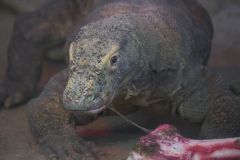 2016 11 06 X T2 DSCF5557