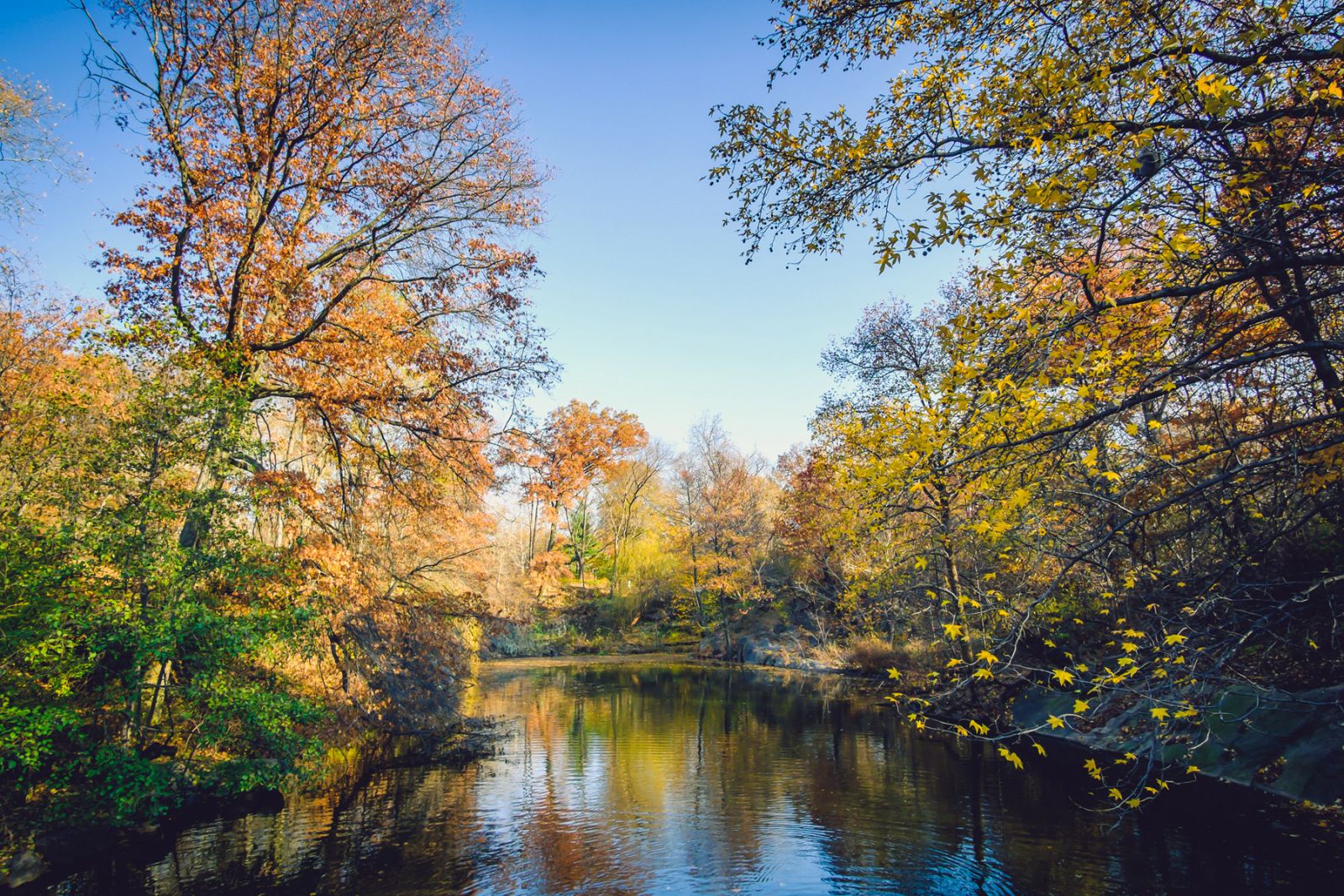 2017 Central Park Fall