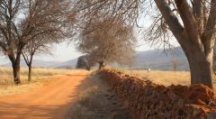 Afternoon In The Country