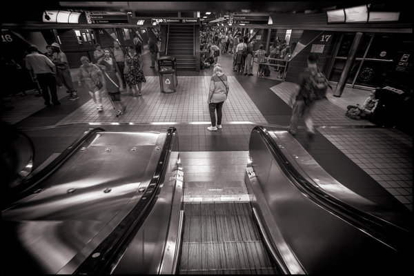 Confused and disillusioned in the Port Authority Bus Terminal