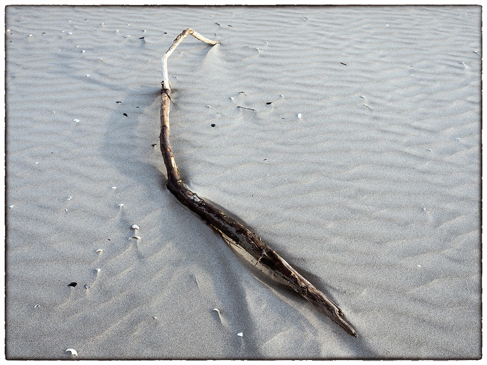 Art of the sea Veneto - Italy