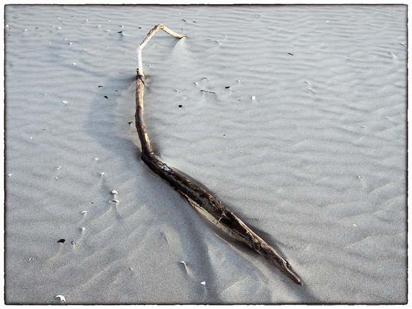 Art of the sea (4).jpg