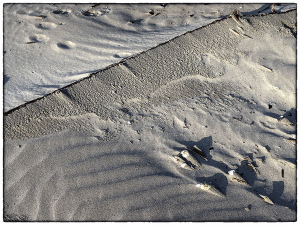 Art of the sea (5).jpg