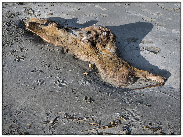 Art of the sea (1).jpg