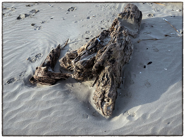 Art of the sea (2).jpg