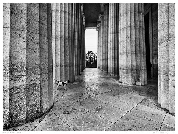 w_bw_SSM0145.jpg