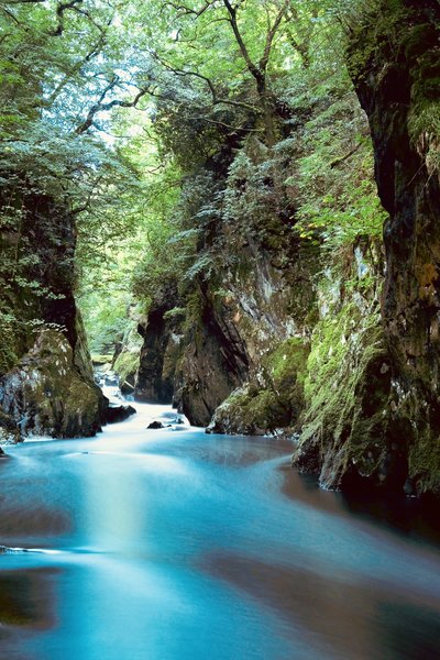 AC218773-C08D-4E28-B83C-864F24EA3368