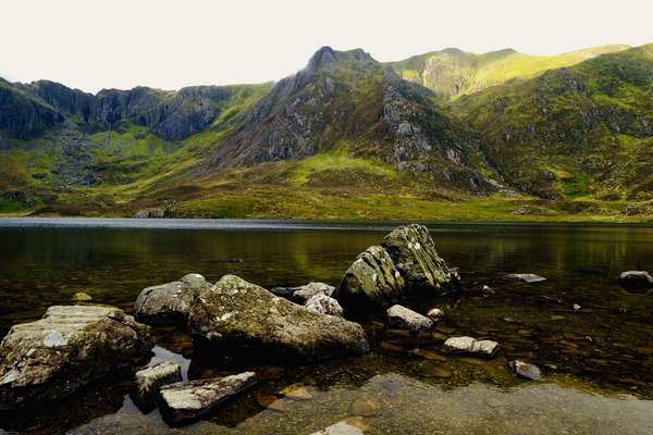 E628E538-84B6-4C92-9D65-952CA99237D8