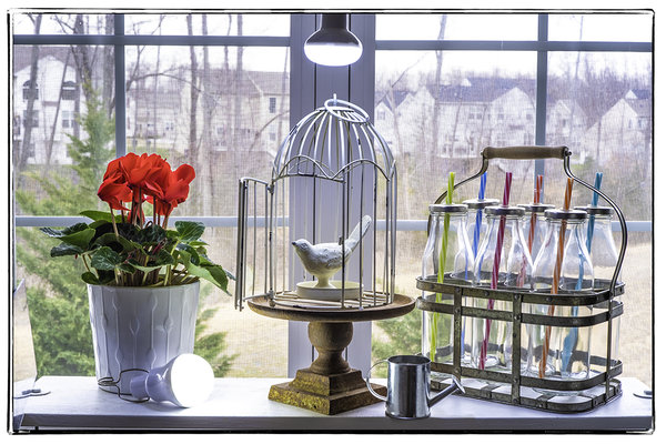 stl lfe 1 30 20 1734 sml.jpg