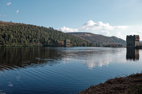 DSCF0159 capture auto adjust_DxO.jpg