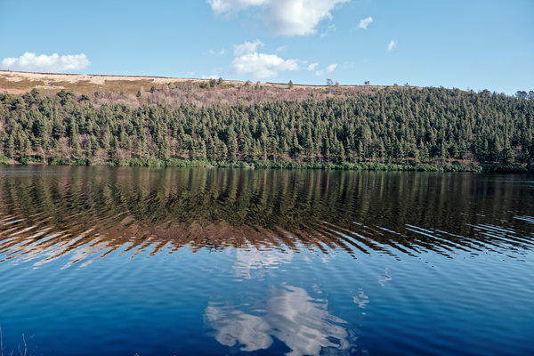 DSCF0161 capture auto adjust_DxO.jpg